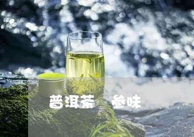 普洱茶 参味/2023042641456